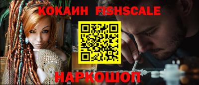 шишки Новодвинск