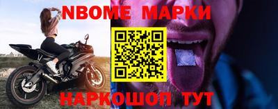 шишки Новодвинск