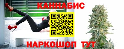 шишки Новодвинск