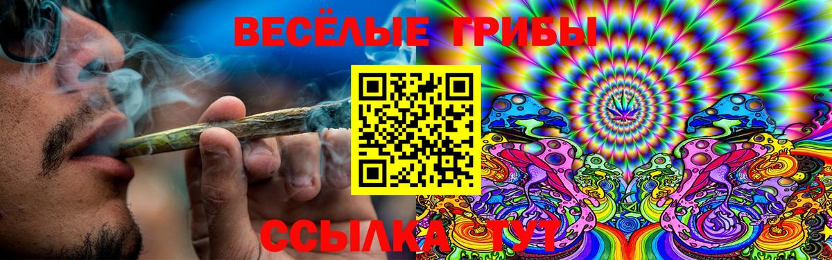 Тула  Псилоцибиновые грибы Magic Shrooms  Вход с VPN  Псилоцибиновые грибы Cubensis 